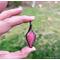 Thulite Wire Wrapped Necklace Pendant